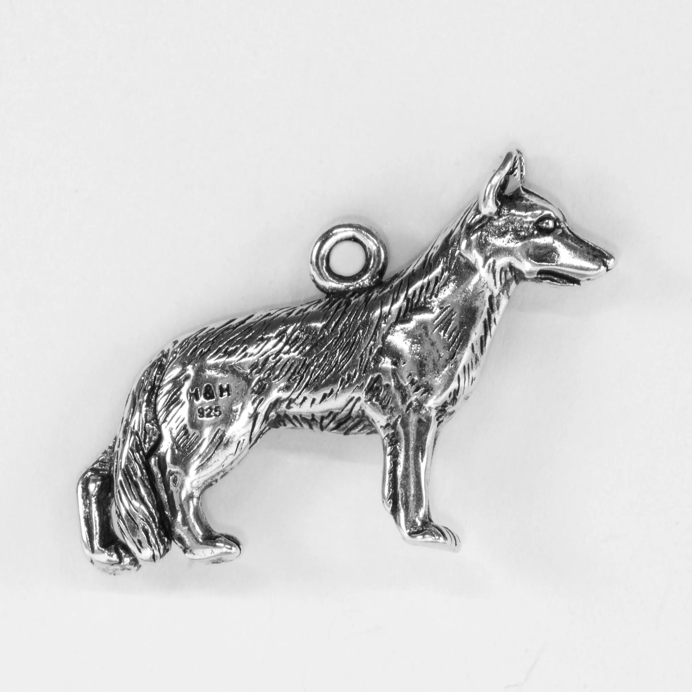 German Shepherd, Body